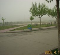 06年学校的沙尘暴